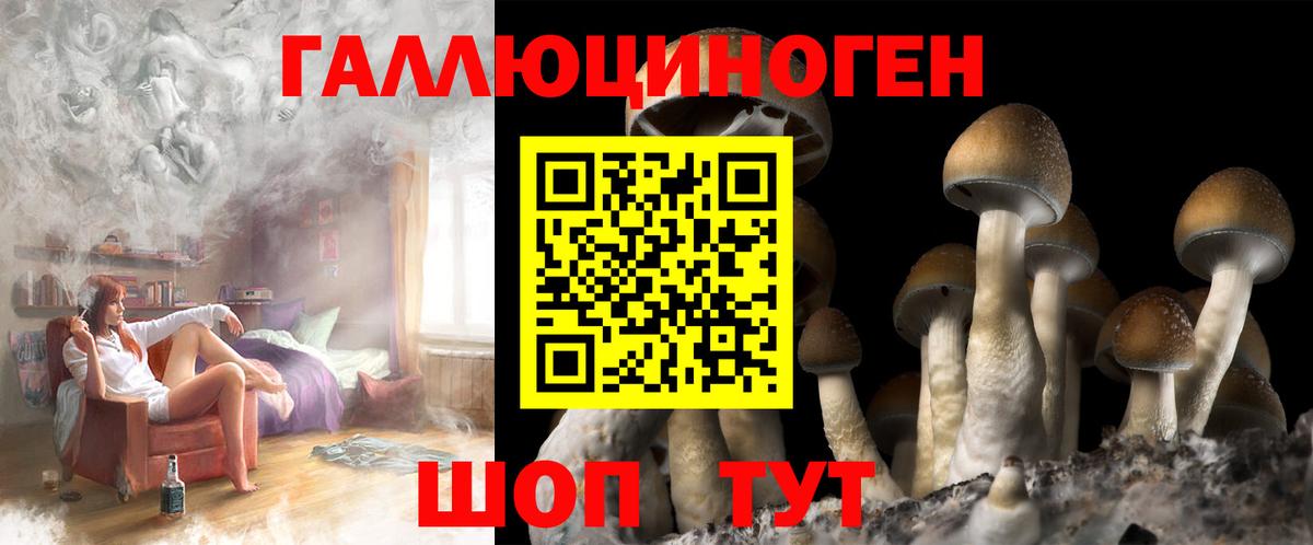 где найти   Вход с VPN  Новомосковск  Галлюциногенные грибы мицелий 